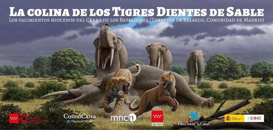Exposición